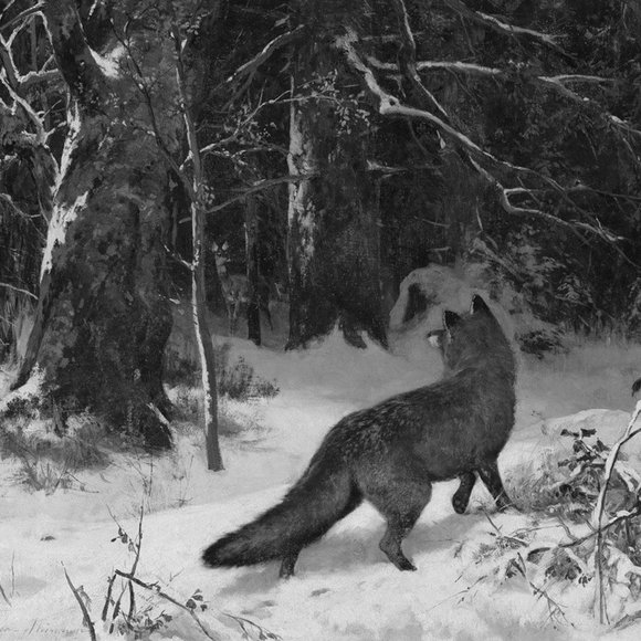 Meet your Posher, Kyra - Picture 1 of 1